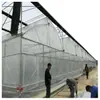 Invernaderos de Unidad Única de Shanghai para Cultivo de Verduras y Frutas, Tubos para Invernadero, Película para Flores, Malla de Sombra, Tubos para Invernadero de Múltiples Vanos