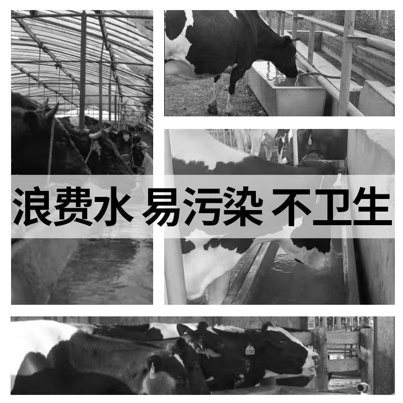 微信图片_202406022234481