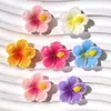 Accesorios de Resina Brillantes y Coloridos de Flor de Cinco Pétalos para DIY Zuecos Pinzas para el Cabello Gomas para el Cabello Fundas para Teléfono Imanes para Refrigerador Pegatinas Decorativas