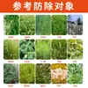 Herbicida Ping'An Sal de Amônio de Glifosato 20% para Pomares, Terrenos Baldios e Controle de Ervas Daninhas, Forte Pesticida Destruidor de Raízes