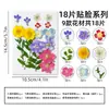 Kit de materiales DIY de flores secas mixtas para estilismo de maquillaje, maquillaje facial para retratos personales, especímenes de plantas de flores reales en relieve