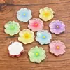 6 cores 24x26mm Acessórios de resina DIY Pingente de planta flor transparente para bolsas acessórios de joias para celular