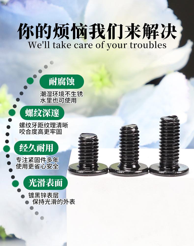 304镀黑锌内六角CM-工厂店_05