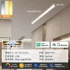 Luminária de Teto Longa Minimalista de Sobrepor para Sala de Estar, Corredor Criativo, Corredor, Varanda Ensolarada e Varanda - Modelo Novo 2026
