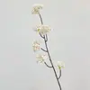 Arte Floral Estilo Zen de Alta Calidad, Flores de Peral, Flores de Cerezo, Flores Artificiales, Decoración del Hogar, Decoración de Escena de Boda, Flores Falsas, Accesorios para Fotografía
