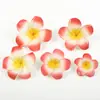 Flor de Huevo de Espuma Estilo Étnico de Alta Calidad Modelo de Pasador para el Cabello Accesorios DIY Tocado Diadema Accesorios de Repuesto