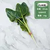 Modelo de vegetal de simulação PU pimenta alface repolho chinês berinjela cebola cogumelo brócolis modelo de adereços decoração de sala