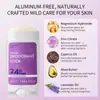 Desodorante Antitranspirante em Bastão Personalizado Lavanda Fragrância de Longa Duração para Reduzir o Odor das Axilas Desodorante Feminino Bastão de Fragrância Antitranspirante