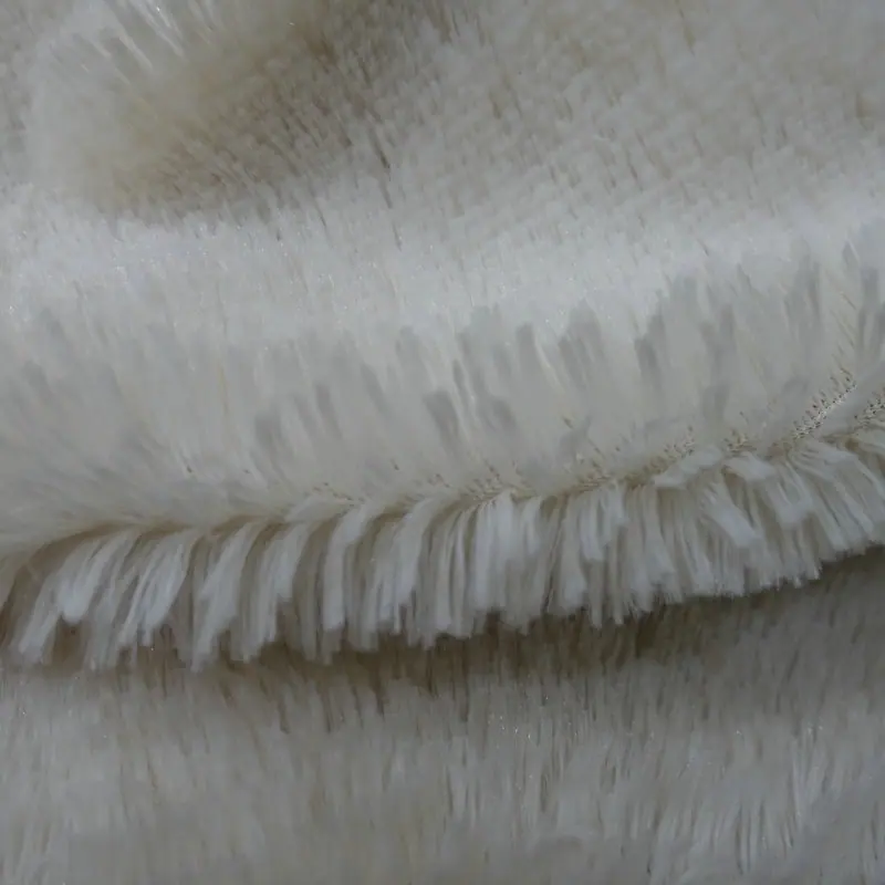 DSC01507