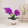 Nova Phalaenopsis com 2 Hastes e 9 Flores em Vaso com Borda Dourada, Estilo Nórdico de Luxo Leve para Sala de Estar Mesa de Jantar, Flor Artificial de Jardinagem e Planta Verde Bonsai