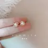 Pendientes Elegantes de Zirconia con Forma de Trébol de Cuatro Hojas Estilo Chanel para Mujer, Diseño de Nicho, Accesorios de Alta Gama, Pendientes Elegantes al por Mayor