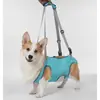 Nuevo Arnés de Soporte para Mascotas para Perros Mayores, Perros con Discapacidad, Correa para Caminar para Rehabilitación
