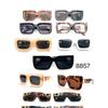 Gafas de Sol Estilo Cafe Grande Yiwu Guangzhou Tendencia Nacional Gafas de Sol África Europa y América Creativas Gafas de Sol Cafe Grande Suministro Transfronterizo Turismo 8857