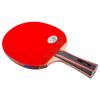 Raquete de Tênis de Mesa Galaxy 01B 02B 03B 04D 06B Borracha Dupla Acabada Raquete de Treino Raquete Reta/Horizontal Raquete Única