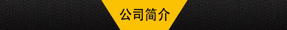 公司简介