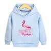 Camisola com capuz de outono para meninas 2022 novo outono casual de algodão para crianças casaco de primavera e outono para menina