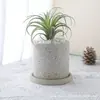 Maceta de Cemento Estilo Industrial Simple Nórdico Imitación Piedra Creativa para el Hogar Planta Suculenta Orquídea Mariposa Utensilios para Macetas