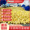 Atacado de vegetais congelados do fabricante de origem: grãos de milho congelados, vagens de edamame, pedaços de cenoura e amostras de vegetais mistos