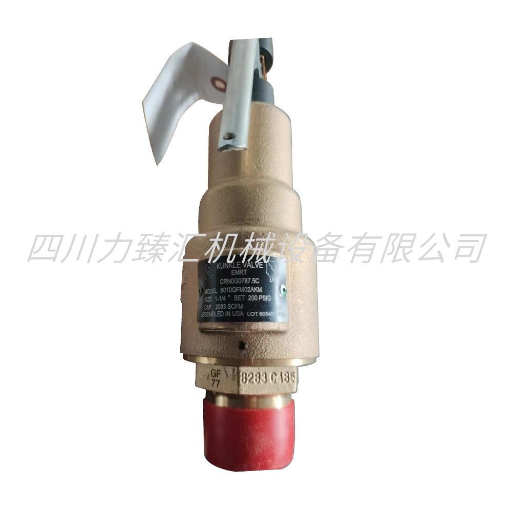 英格索兰安全阀23941917(2)