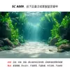 Pegatina de fondo para acuario fondo de lecho marino de acuario tanque de plantas acuáticas paisajismo fondo de acuario 5d tridimensional tridimensional autoadhesivo