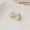 Pendientes de lujo ligero de alta gama, pendientes de amor eterno de moda, pendientes de cuentas de gota de agua, temperamento femenino de moda N1437