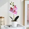Tres Flores y Una Fruta, Bonsái Realista de Orquídea Phalaenopsis Pequeña, Bonsái de Flores Artificiales para Sala de Estar Mueble de TV, Elegante Decoración de Interiores para el Hogar