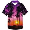 Camisa de Manga Corta de Verano con Estampado Digital 3D Transfronterizo de Playa Hawaiana con Hojas de Coco Cuello Solapa Ropa para Niños Pequeños y Medianos