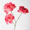 Flor de Peonía Artificial de 3 Cabezas Estilo Europeo Personalizada para Boda y Decoración del Hogar, Flor Artificial, Peonía Occidental al por Mayor