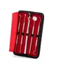 Kit de Ferramentas de Limpeza Dental de Aço Inoxidável Spot Cuidado Bucal Seis Peças Sonda Limpadora de Dentes Espelho Dental Pinça
