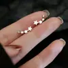 Brincos Céu Estrelado para Mulheres Agulha de Prata S925 Luxo Acessível Brincos de Zircônia Modernos Elegantes Versáteis Brincos Estrela de Cinco Pontas em Estoque