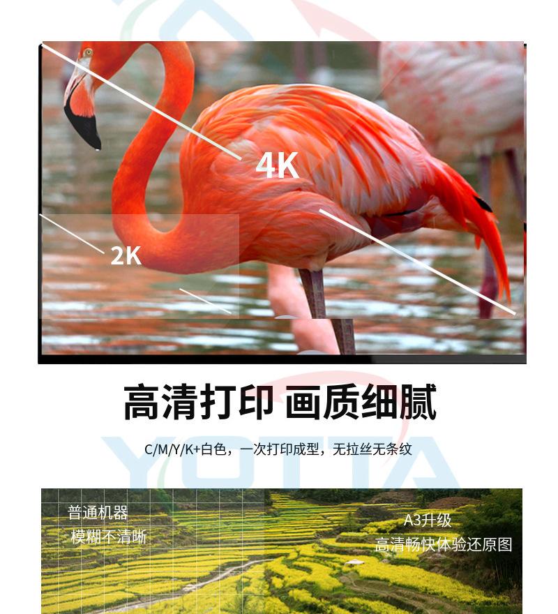 未标题-2_04.jpg