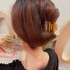 Coreia do Sul Dongdaemun Nova Cor de Gelatina Quadrado Médio Presilha de Pegar Cabelo Parte de Trás da Cabeça Disco Presilha de Cabelo Topo Craniano Alto Presilha para Rabo de Cavalo Pegador de Cabelo