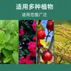 Ativador de Solo, Fonte Mineral de Potássio Ácido Fúlvico, Agente Descompactador de Solo, Fertilizante Solúvel em Água, Fertilizante para Flores, Melhorador Anti-Compactação, Ativador de Solo