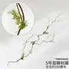 Vid de mimbre de cuero sintético vid vid muerta vid de montaña roja vid de hoja de uva de montaña profunda ramas de árbol de vid vieja plantación artificial