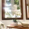 Flores Artificiales Película Impresa en 3D Textura Orquídea Bonsái Planta Artificial Planta en Maceta Artificial Flor Simulación