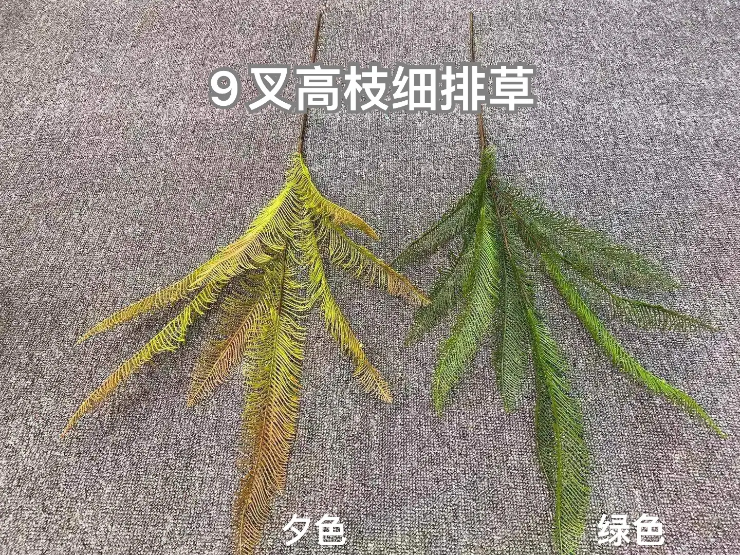 微信图片_20221105162706