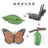 Simulación sólida Araña Naruto ciempiés modelo de insecto juguete para niños mariposa abeja animal decoración bandeja de arena