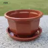 Cesta suspensa vaso octogonal vaso suspenso para orquídeas tamanho pequeno vaso para suculentas rabanete verde vaso suspenso para orquídeas vaso com fundo de rede vaso respirável vaso de plástico atacado