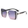 Gafas de Sol para Mujer con Montura Polygonal Negra con Polvo de Brillo, Estilo Lujo Ligero, Forma de M de Gama Alta, Gafas de Sol de Celebridad de Internet de Tiktok