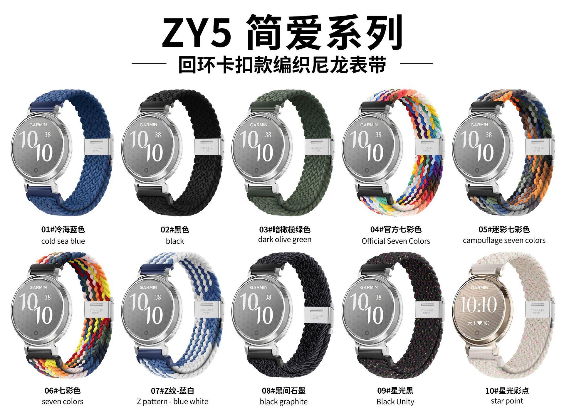 ZY5-佳明表盘