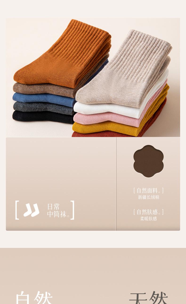 9026瑞欣详情上半_05