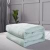 Invierno Súper Suave Caliente Manta Vellón Coral Franela Manta Multiusos Individual y Doble Dormitorio Estudiantil Manta Sábana