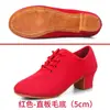 Zapatos de Baile Latino para Mujer, Tacones Altos, Zapatos de Baile para Adultos de Cuatro Estaciones, Especial para Profesores, Práctica, Sociales, Estándar Nacional, Zapatos de Baile de Tela Oxford
