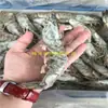 Camarão Branco Malaio Grande de Boa Qualidade Camarão Tailandês Cozido em Óleo e Braiseado Churrasco Peça Inteira 1,3kg * 6 Caixas