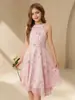 Vestido Formal Rosa Europeu e Americano Transfronteiriço para Meninas Vestido Princesa de Chiffon com Cintura Marcada Linha A Exportação Transfronteiriça Exclusiva
