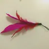 Fabricantes de brinquedos para animais de estimação atacado cabeça de reposição de pena vara para gato de estimação vara de gato auto-Hi vara de fada para gato brinquedo resistente à mordida