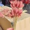 Ramo de flores secas de cola de conejo y hierba, decoración del hogar, flor eterna, cola de perro y hierba, flores secas, venta al por mayor, accesorios de tiro al por mayor