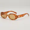 Óculos de Sol Cat-Eye para Mulheres, Estilo Europeu e Americano, Armação Oval Pequena, Escolhas de Influenciadores da Moda, Óculos de Sol Retrô Americanos