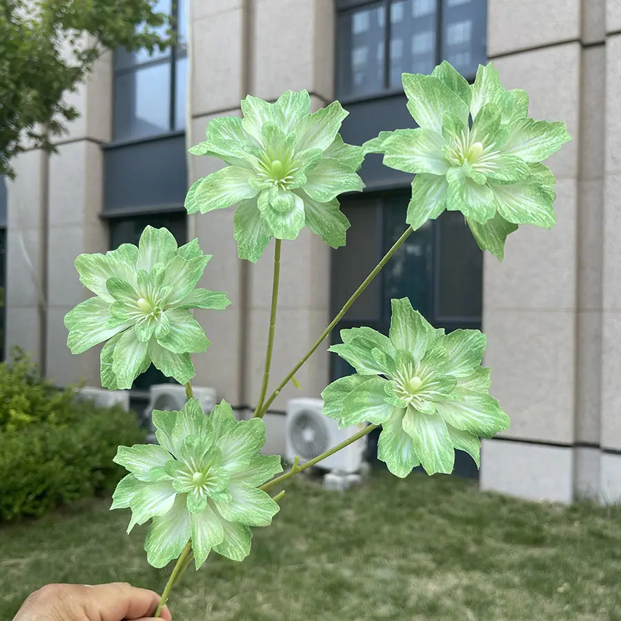 5头海棠花-绿色.JPG