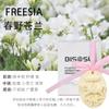 Piezas colgantes de aromaterapia de yeso troyano Piezas de fragancia para coche Armario Armario Fragancia Aire fresco para el hogar Joyería de aromaterapia para coche